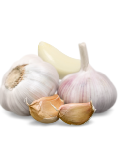 saute garlic