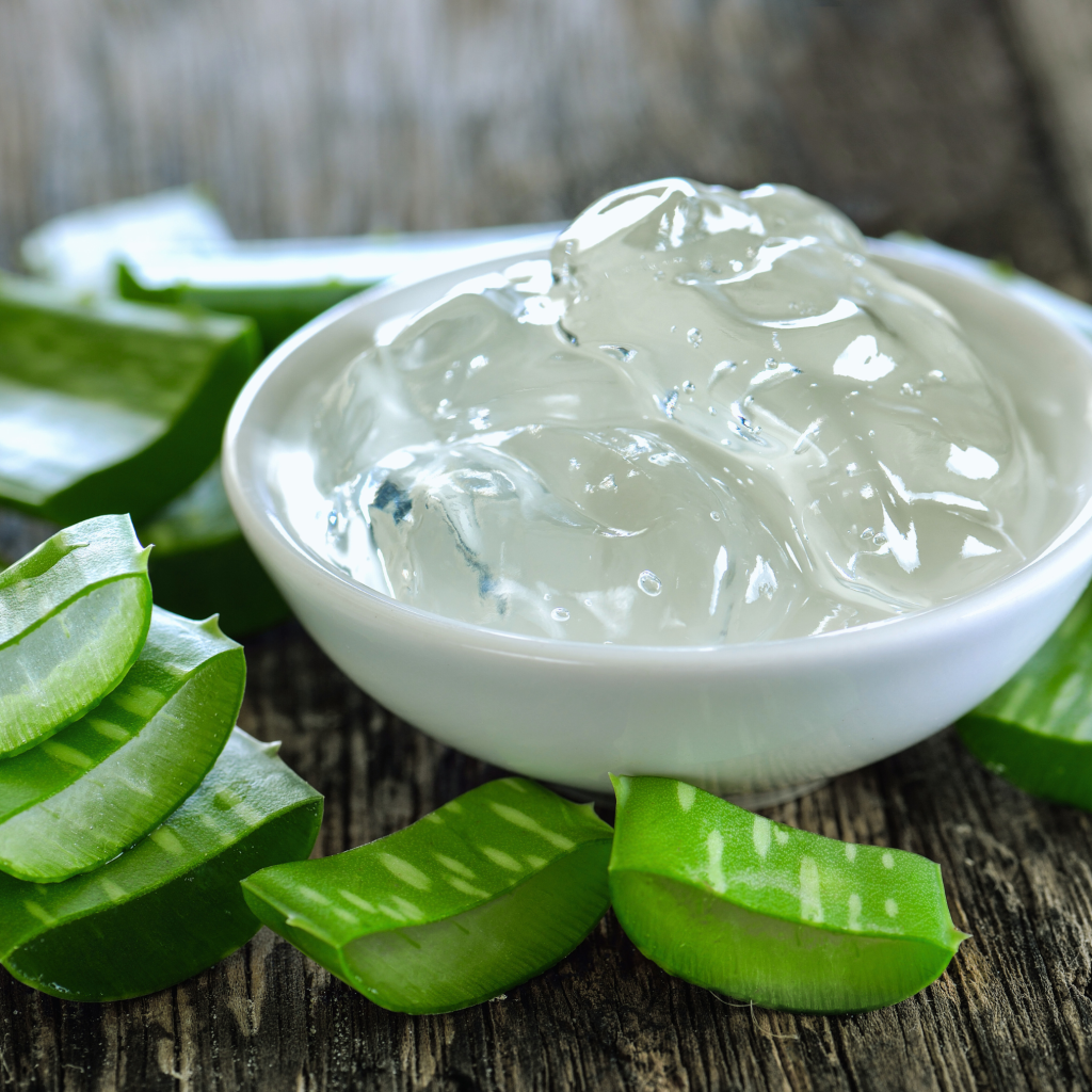 Aloe Vera