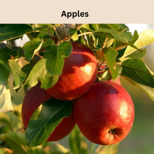 apples