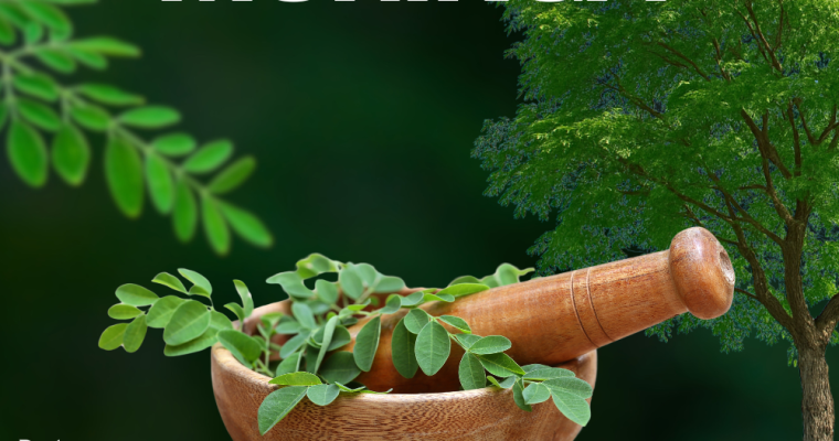 Uses for moringa