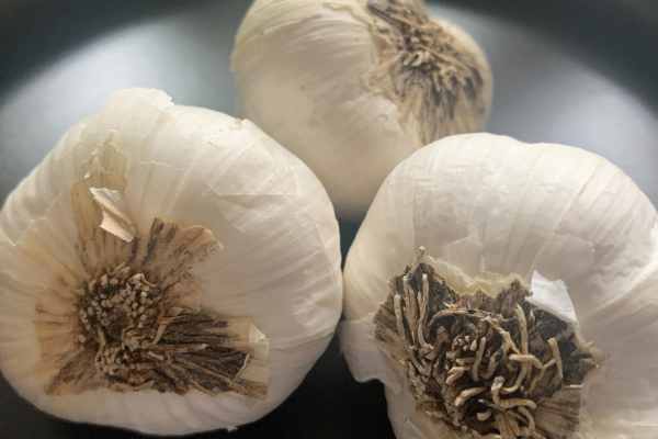 The Science-Backed Power of Aged Garlic: A Natural Approach to Heart Health